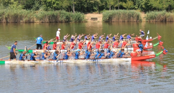 IMG_0219 IMG_0219