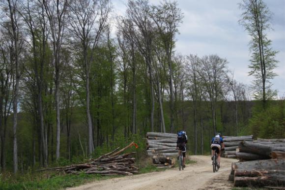 kep_0004 kep_0004