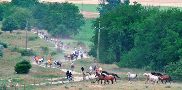 mtb_piknik2