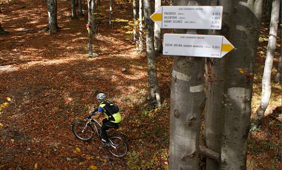 szlovakia_mountainbike20
